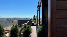 Wellness terasa se saunovým domem